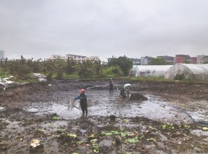 济南河道鱼塘清淤